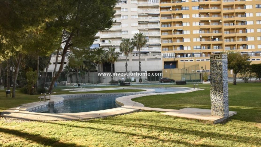 Vente - Appartement - Orihuela Costa - Dehesa De Campoamor