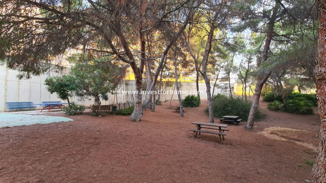 Vente - Appartement - Orihuela Costa - Dehesa De Campoamor