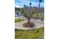 Vente - Appartement - Orihuela Costa - Inland