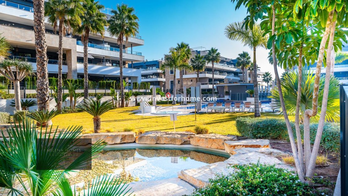 Vente - Appartement - Orihuela Costa - La Zenia