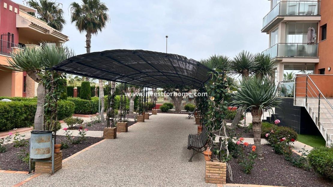 Vente - Appartement - Orihuela Costa - Lomas De Cabo Roig