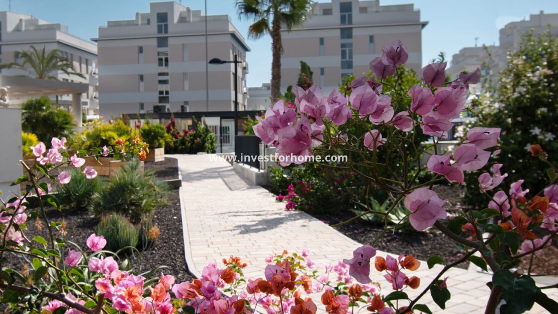 Vente - Appartement - Orihuela Costa - Los Dolses