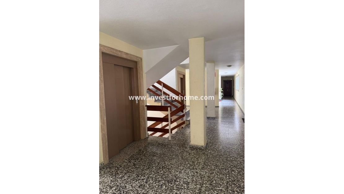 Vente - Appartement - Orihuela Costa - Orihuela Ciudad