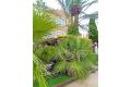 Vente - Appartement - Orihuela Costa - Playa Flamenca