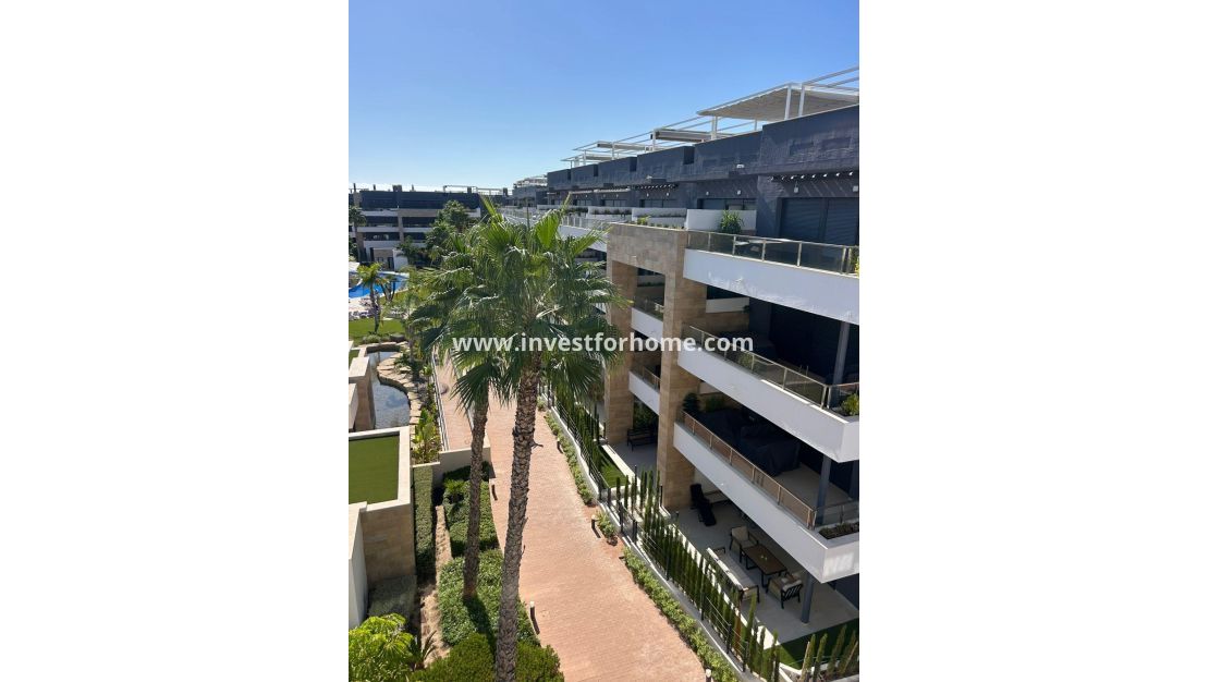 Vente - Appartement - Orihuela Costa - Playa Flamenca
