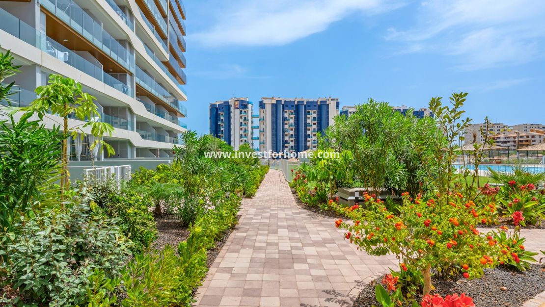 Vente - Appartement - Orihuela Costa - Punta Prima