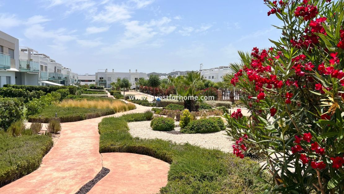 Vente - Appartement - Orihuela Costa - Vistabella Golf