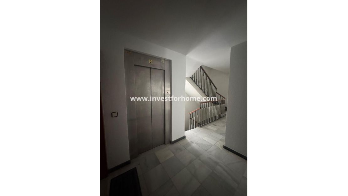Vente - Appartement - Orihuela Costa - Zona Centro