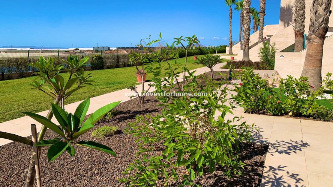 Vente - Appartement - Pilar de la Horadada - Costa Blanca