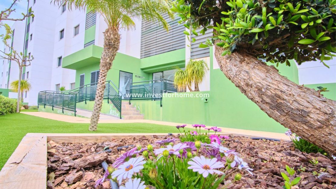 Vente - Appartement - Pilar de la Horadada - Costa Blanca