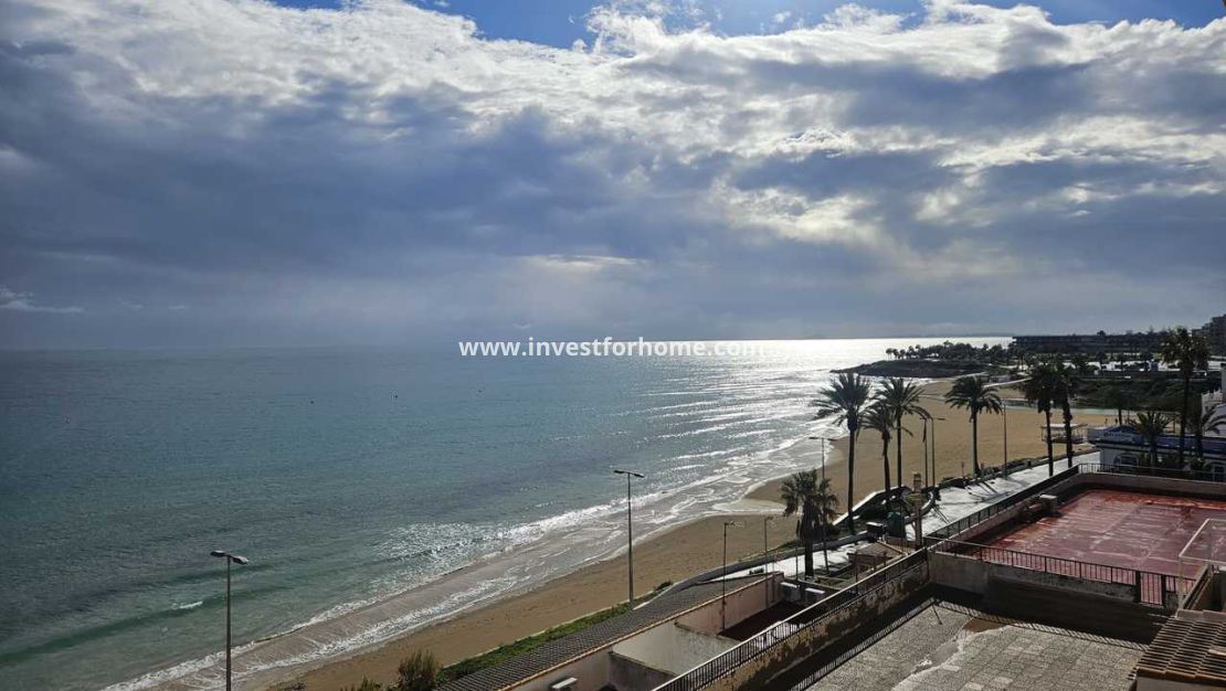Vente - Appartement - Pilar de la Horadada - Costa Blanca