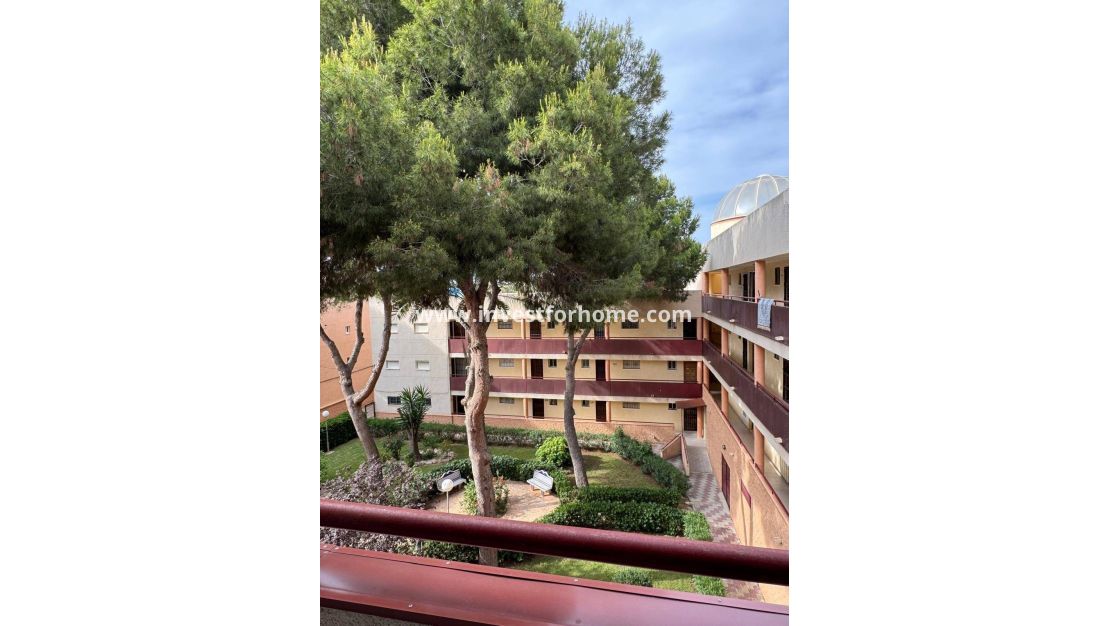 Vente - Appartement - Pilar de la Horadada - Mil Palmeras