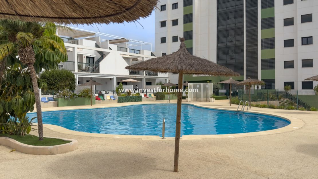 Vente - Appartement - Pilar de la Horadada - Mil Palmeras