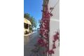 Vente - Appartement - Pilar de la Horadada - Pueblo Latino