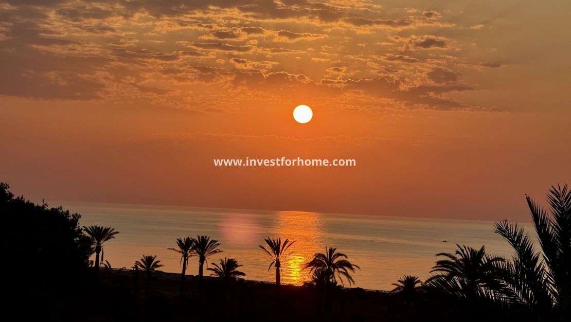 Vente - Appartement - San Miguel de Salinas - Inland