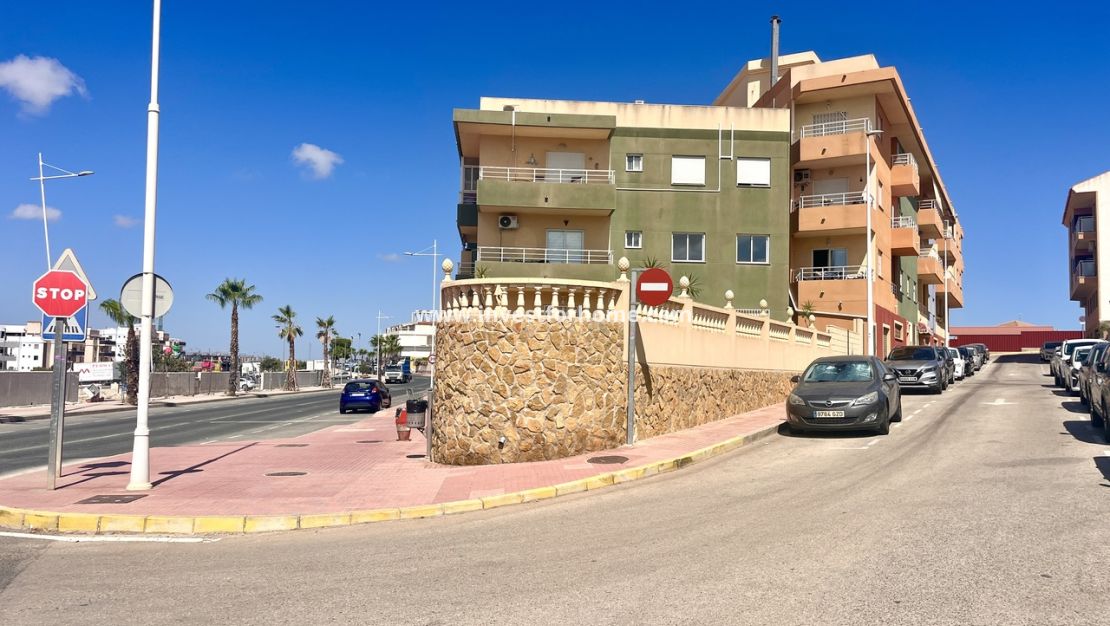 Vente - Appartement - San Miguel de Salinas - Inland