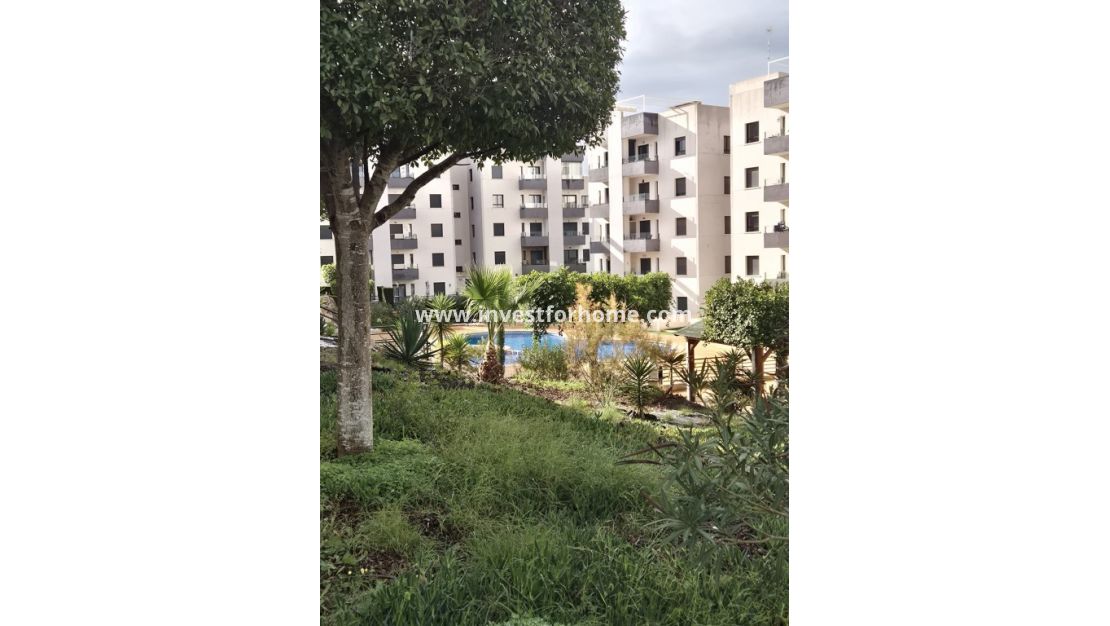Vente - Appartement - San Miguel de Salinas - Inland
