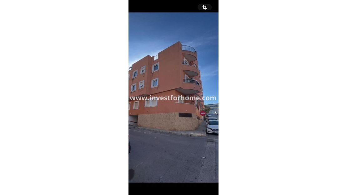 Vente - Appartement - San Miguel de Salinas - Inland