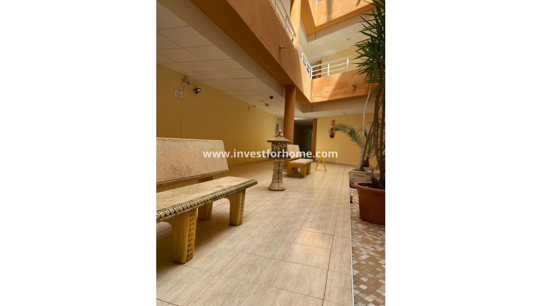 Vente - Appartement - San Miguel de Salinas - Pueblo 9