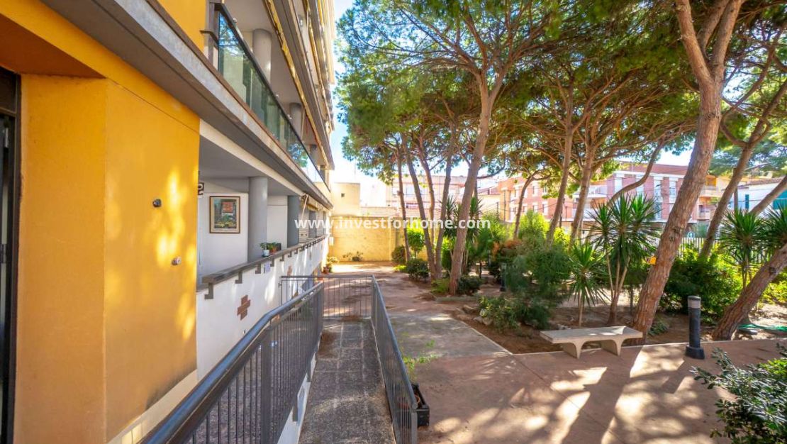 Vente - Appartement - San Pedro del Pinatar - Costa Calida