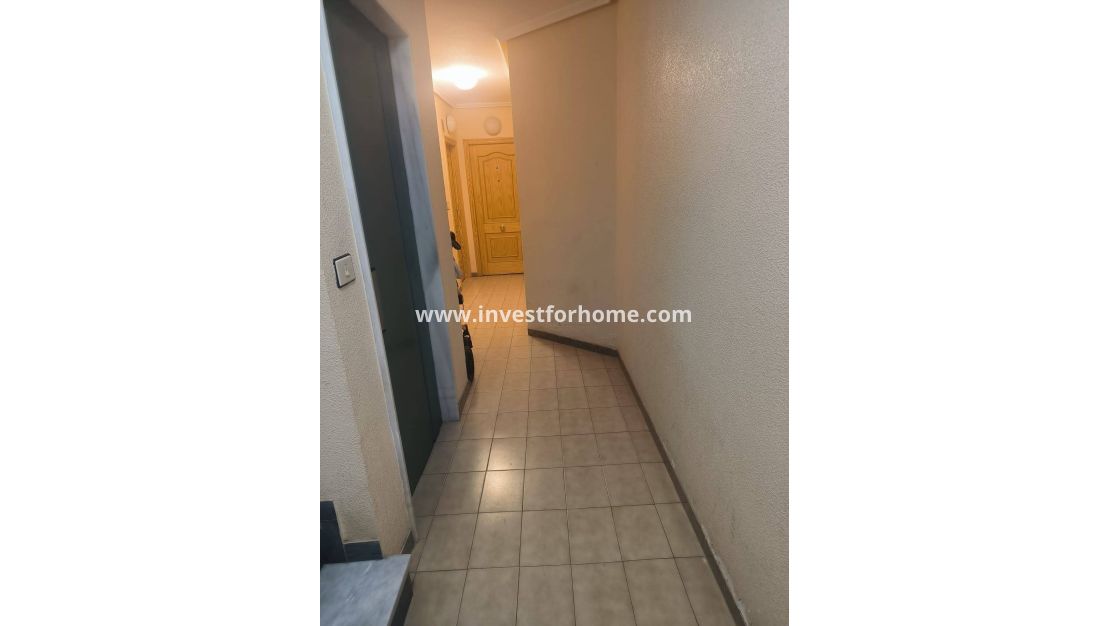 Vente - Appartement - San Pedro del Pinatar - La Puntica