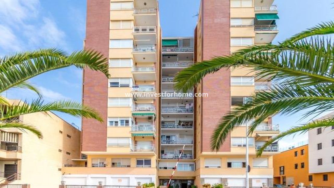 Vente - Appartement - San Pedro del Pinatar - Villananitos