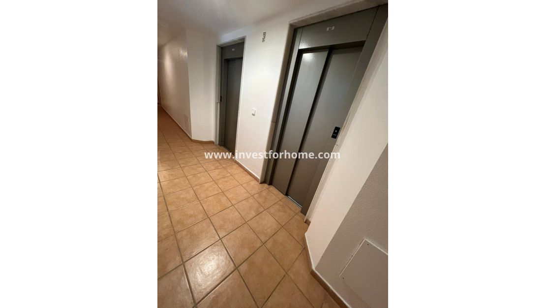 Vente - Appartement - Torrevieja - aguas nuevas