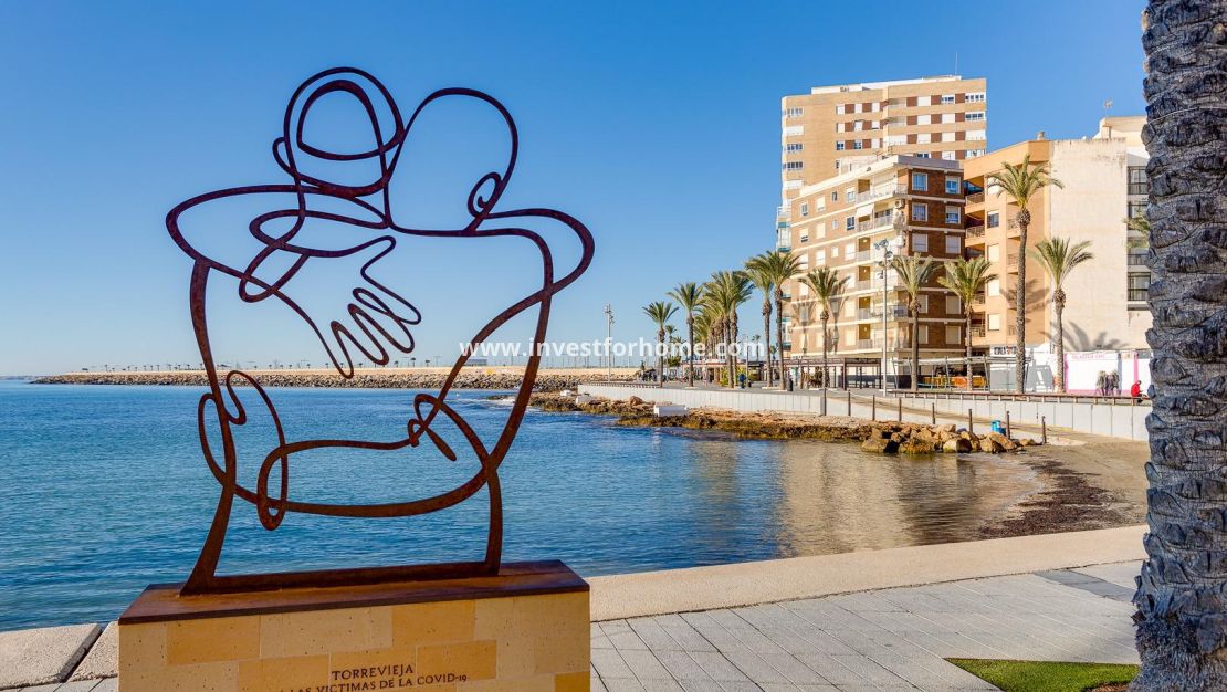 Vente - Appartement - Torrevieja - Antonio Machado