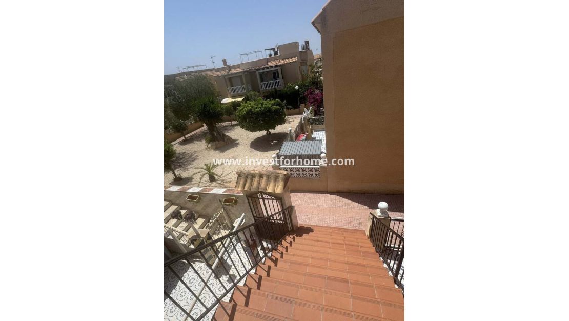 Vente - Appartement - Torrevieja - Auguas Neuvas