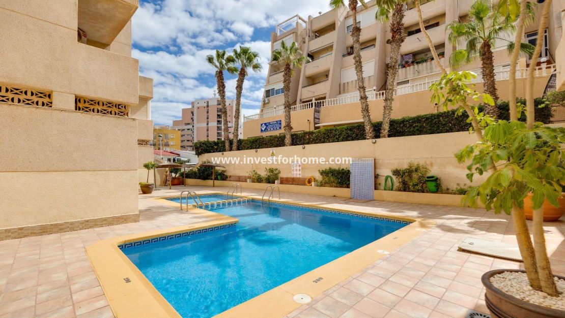 Vente - Appartement - Torrevieja - Cabo Cervera