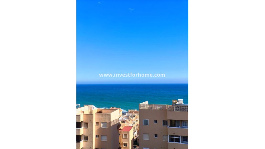 Vente - Appartement - Torrevieja - Cabo Cervera