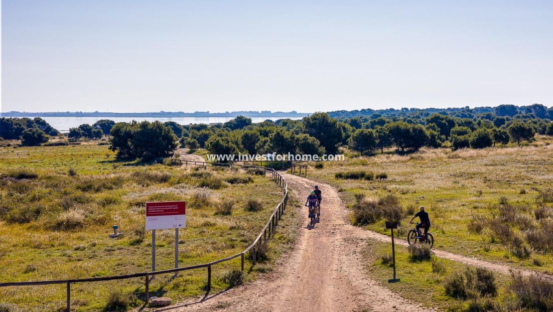 Vente - Appartement - Torrevieja - Centro - Muelle Pesquero