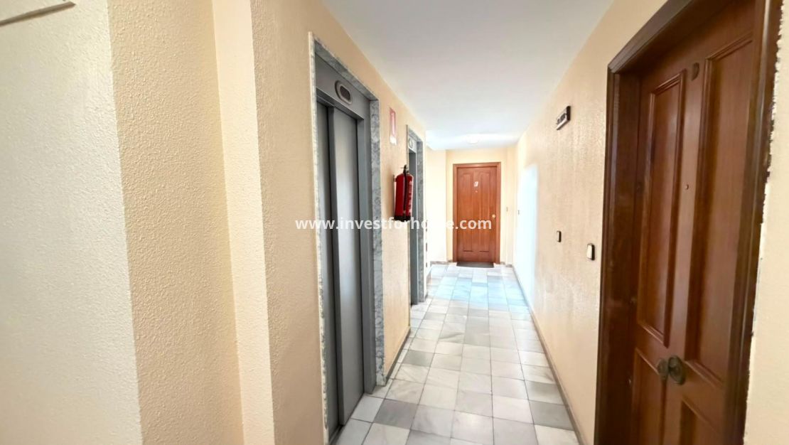Vente - Appartement - Torrevieja - Centro - Muelle Pesquero