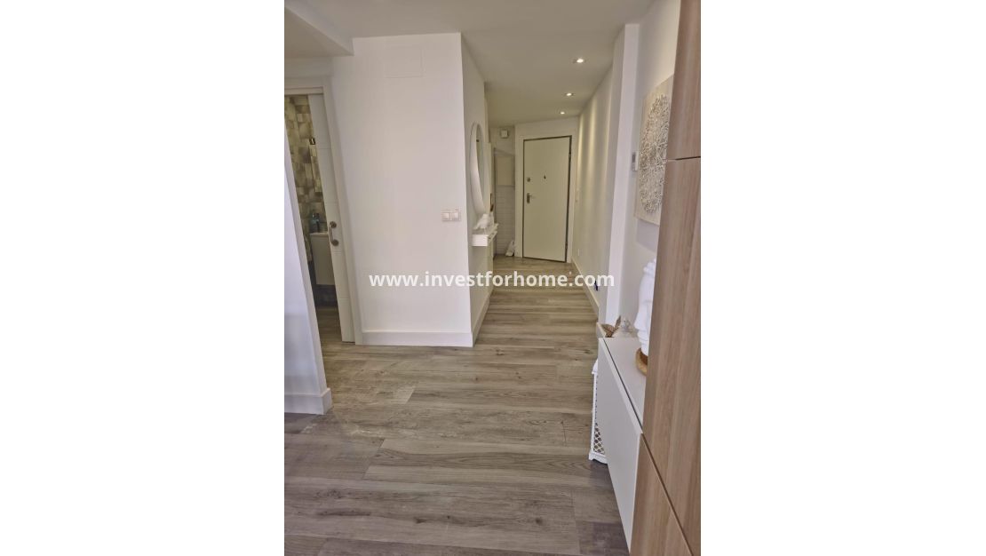 Vente - Appartement - Torrevieja - Centro