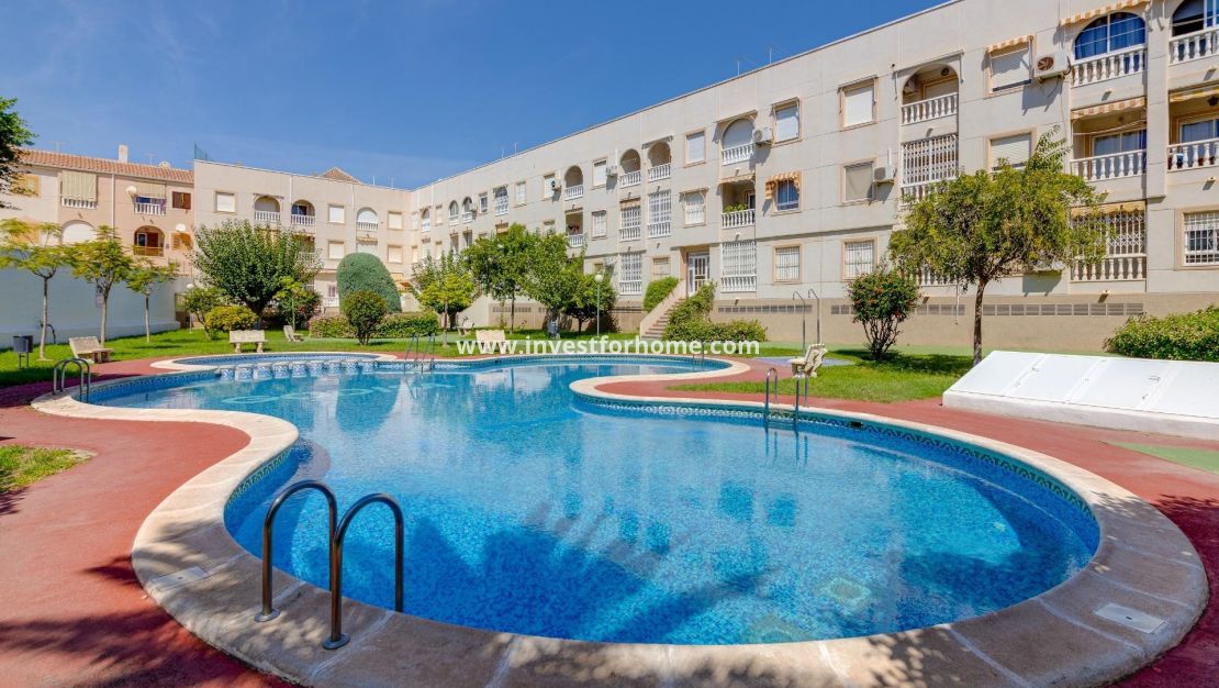 Vente - Appartement - Torrevieja - Centro
