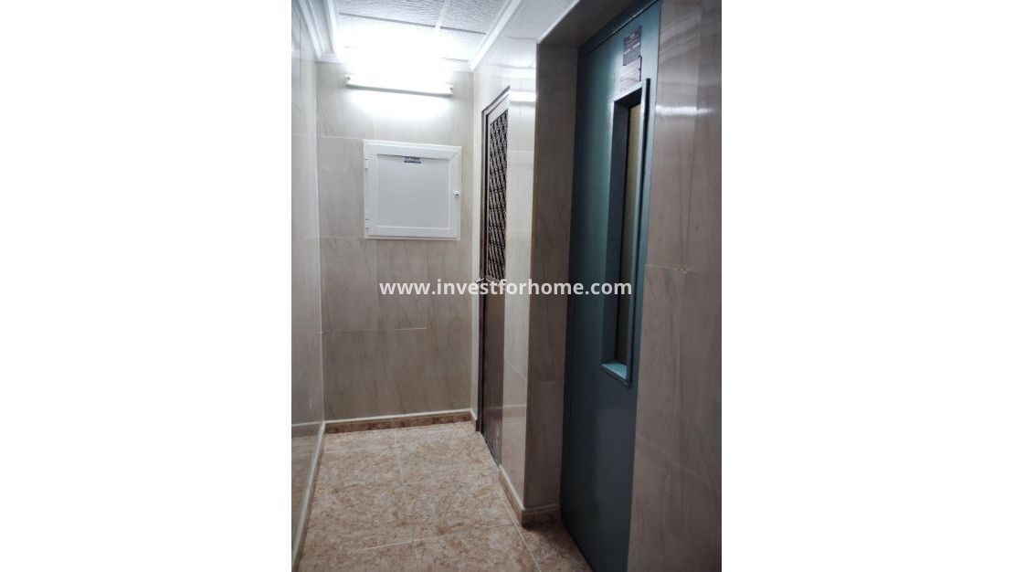 Vente - Appartement - Torrevieja - Centro