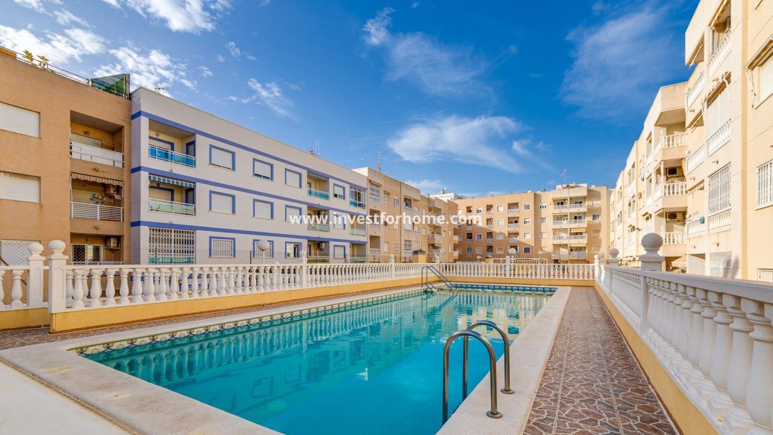 Vente - Appartement - Torrevieja - Centro