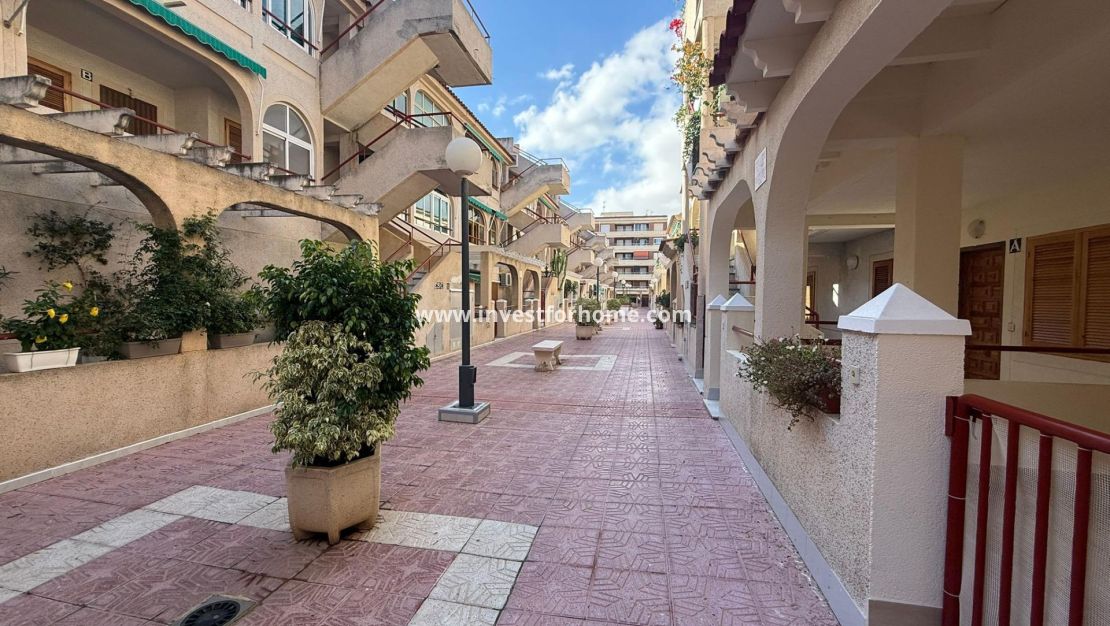 Vente - Appartement - Torrevieja - Centro