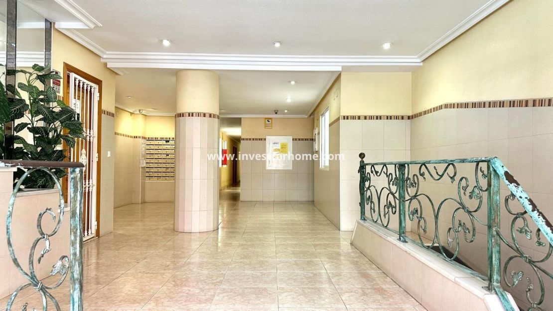 Vente - Appartement - Torrevieja - Centro