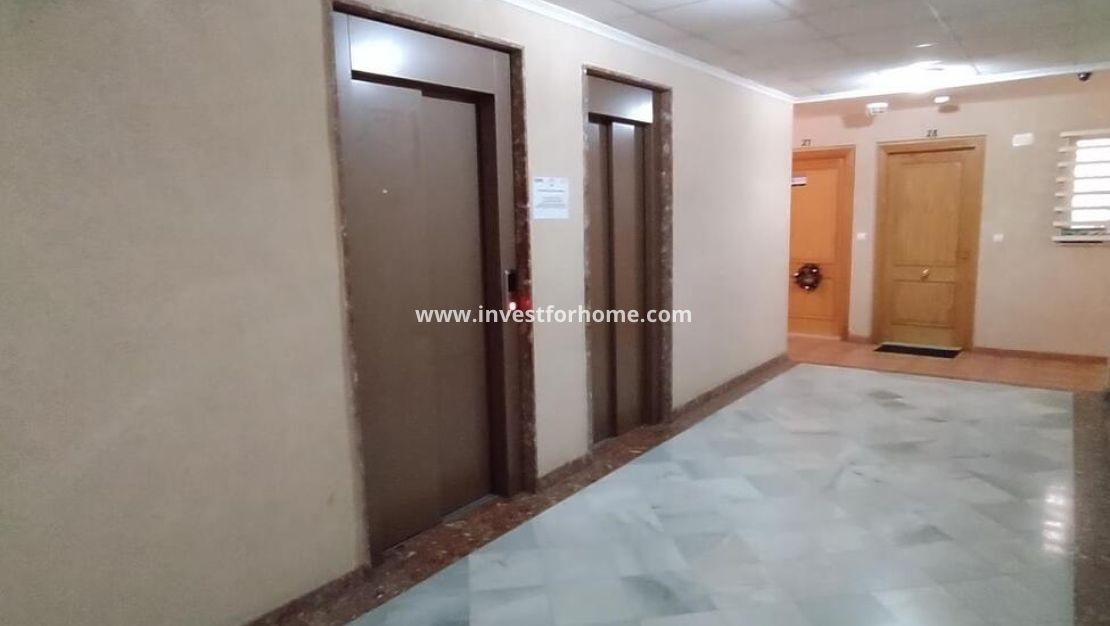 Vente - Appartement - Torrevieja - Centro