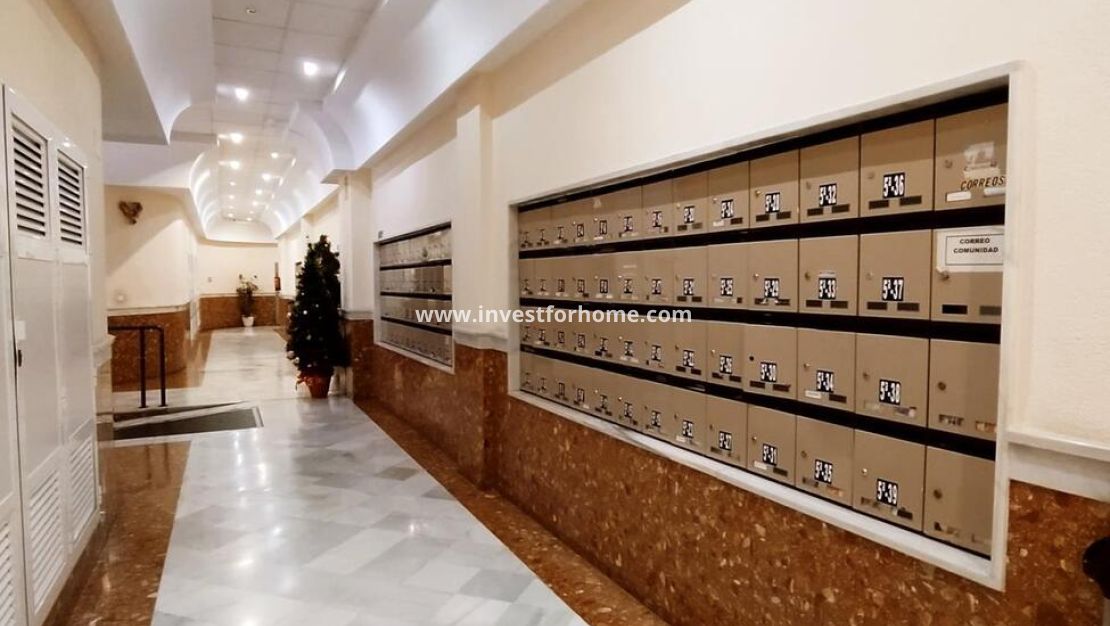 Vente - Appartement - Torrevieja - Centro