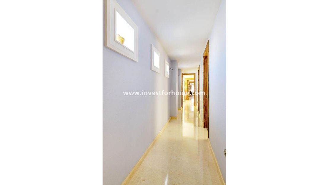 Vente - Appartement - Torrevieja - Centro