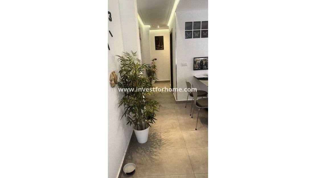 Vente - Appartement - Torrevieja - Centro