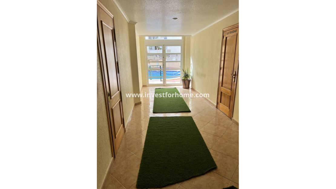 Vente - Appartement - Torrevieja - Centro
