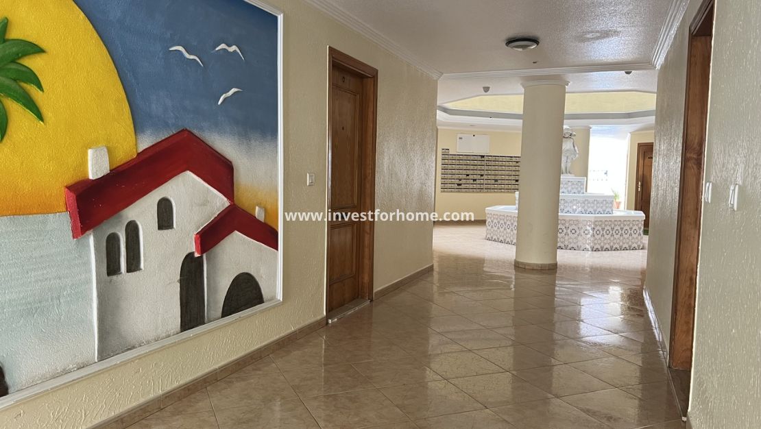 Vente - Appartement - Torrevieja - Centro