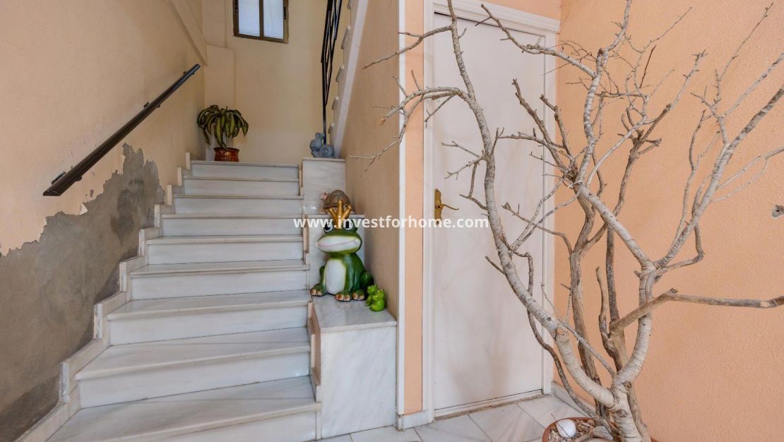 Vente - Appartement - Torrevieja - Centro