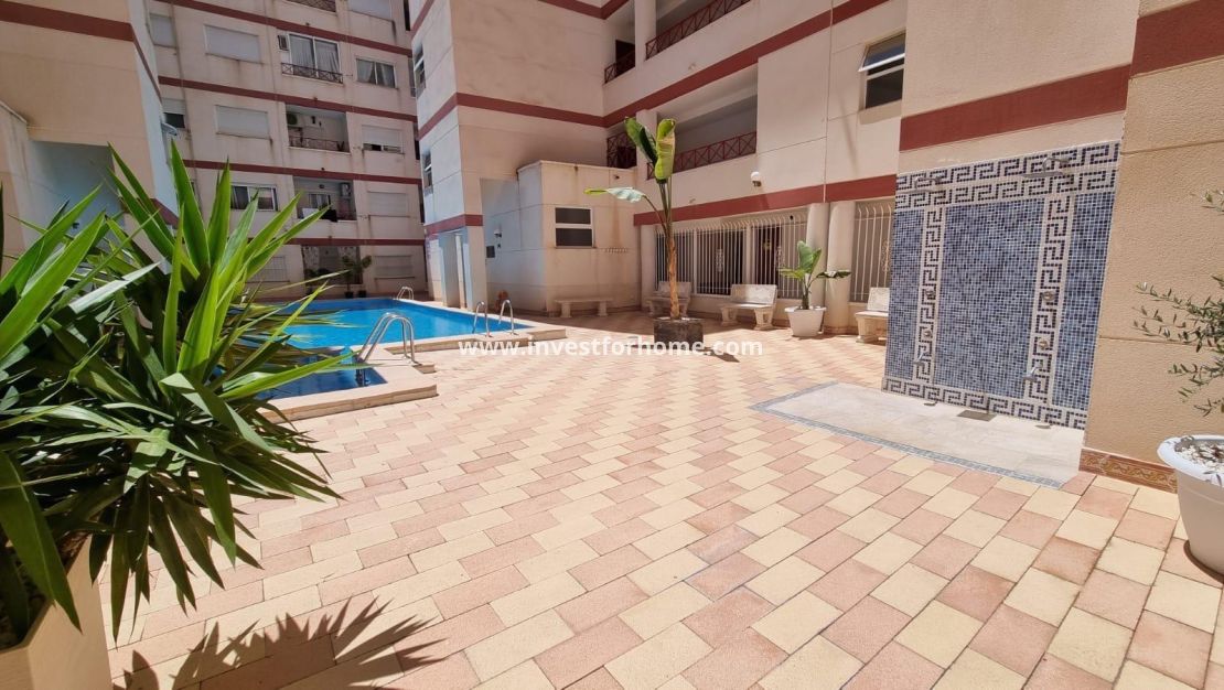 Vente - Appartement - Torrevieja - Centro