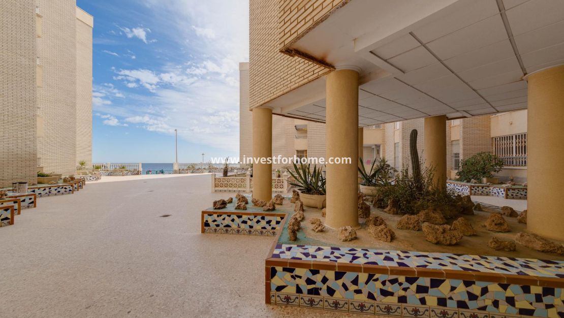 Vente - Appartement - Torrevieja - Centro