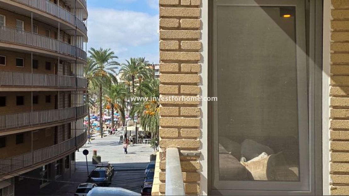 Vente - Appartement - Torrevieja - Centro