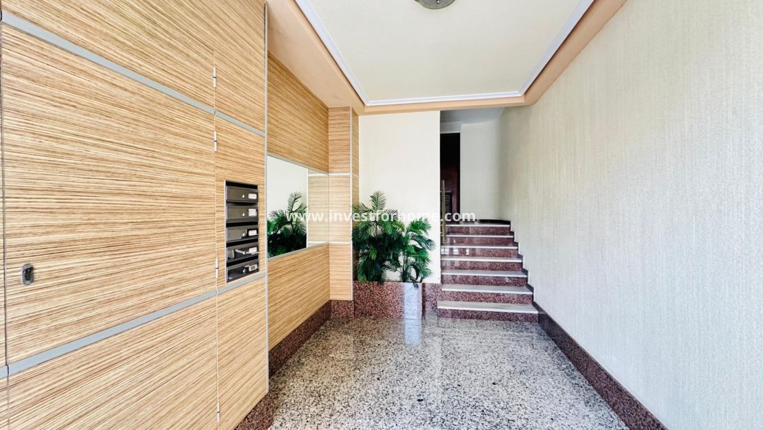 Vente - Appartement - Torrevieja - Centro